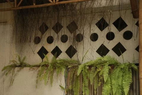 Close up of aged concrete ventilation blocks and creeping plants on a building Stock Photos