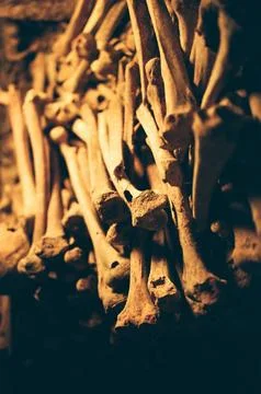 Close-up of aged human bones stacked in dim lighting. Foto stock