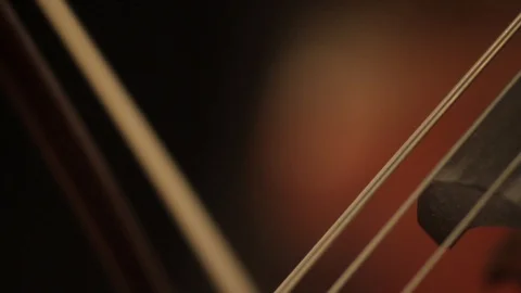 Close up aggressive playing bass with bow Stock-Footage 86530457