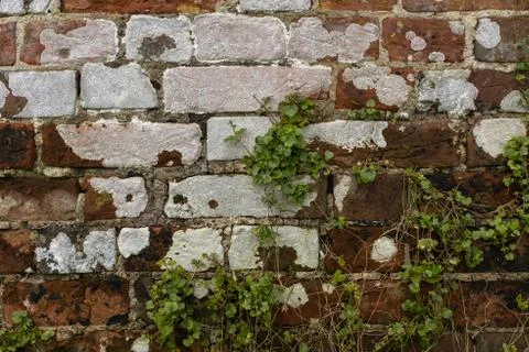Close up an aging brick wall with crumbling mortar and bleached white spots and Stock Photos