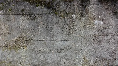 Close-up of an Aging Concrete Wall With Texture and Moss Foto stock