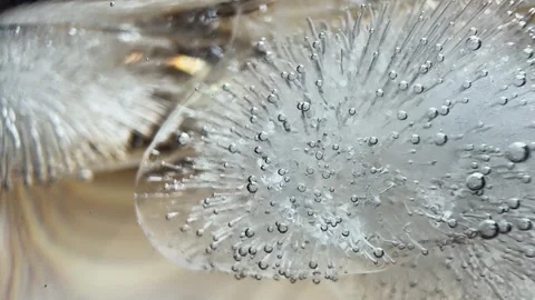 Close Up of Air Bubbles and Crystals in Clear Ice Macro Photography Stock Footage 323767550