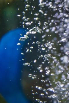 Close-up of air bubbles floating upward in water 库存照片