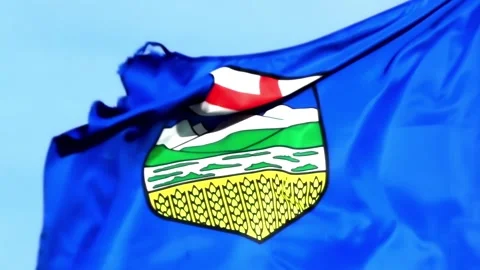 Close-up of the Alberta provincial flag waving in the wind with the coat of arms Stock Footage 331416531