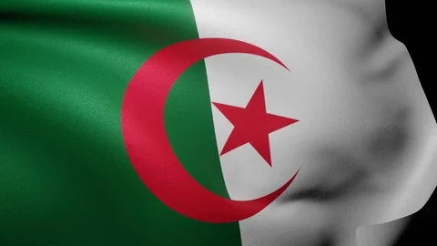 Close up of Algeria flag waving in wind. Flag background 4K UHD 60FPS Stock Footage 121038536