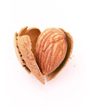 Close up almonds nut shell cracked in heart shape isolated on white backgroun Stock Photos