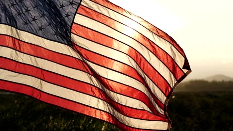 Close-up American flags waving over sunset or sunrise in nature background Stock Footage 154917279
