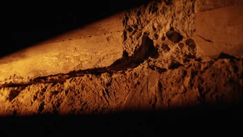Close up of ancient bone fossil texture Stock Footage 341294483