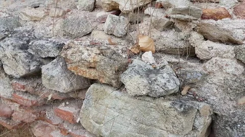 Close-up of Ancient Roman Town Wall Vídeos de archivo 97206752
