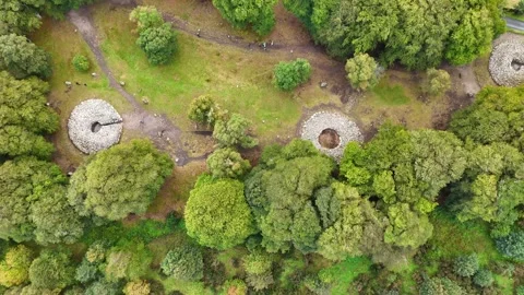 Close-up of Ancient Standing Stones at Clava Cairns, Scotland Stock Footage 330660888