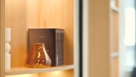 Close-up and focus on a decorative corner of a bookshelf with warm light Stock Footage 344019940