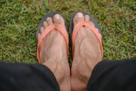 Close up and selective focus of man wearing black flip flops stepping on grass Stock Photos