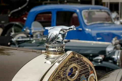 Close-up and selective focus of quail bird bonnet mascot on Ford car hood Stock Photos