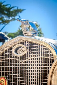 Close-up and selective focus of quail bird bonnet mascot on Ford car hood Stock Photos