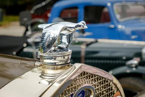 Close-up and selective focus of quail bird bonnet mascot on Ford car hood Stock Photos