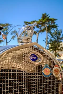 Close-up and selective focus of quail bird bonnet mascot on Ford car hood Stock Photos