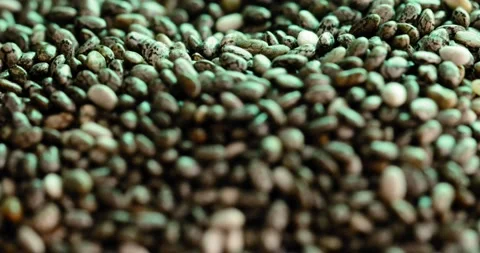 Close up and smooth focus on chia seeds lying on a gray surface in green light Stock Footage 154242876