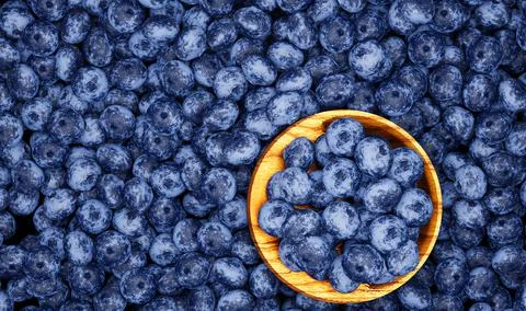 Close up and top view Lots of blueberries. Dark blueberry, fresh color, white Stock Illustration