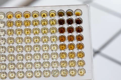 A close up and top view of a multi-well plate inside a science laboratory. Di 스톡 사진