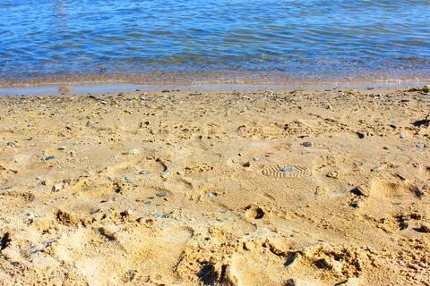 Close-up and top view of shiny transparent yellow sand and stones on the beach Stock Photos