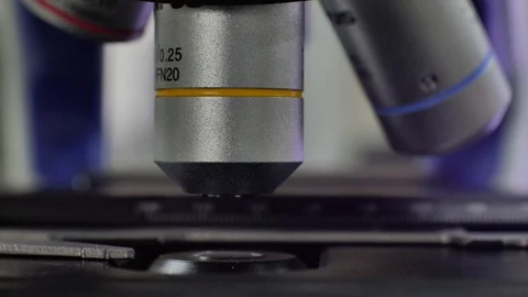 Close and zoom in microscope technology in laboratory. Video stock 108200443