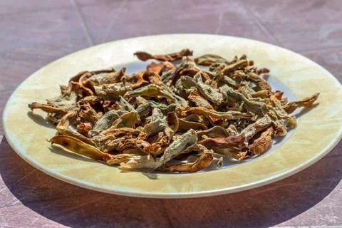 Close-up angled shoot of string beans dried under the sunlight on the plate Stock Photos
