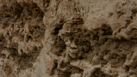 Close up angled view of limestone brick wall with moss, selective focus.	 스톡 동영상 89529923