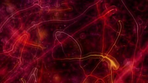 A close up of an animal 스톡 동영상 157755232