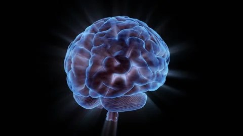 A close up of an animal 스톡 동영상 157756910