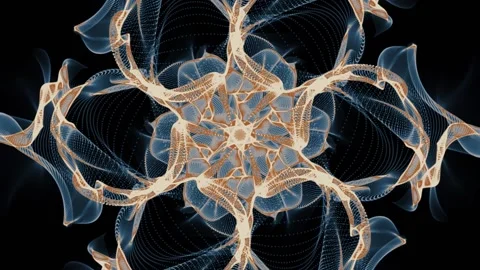 A close up of an animal 库存影片 157757935