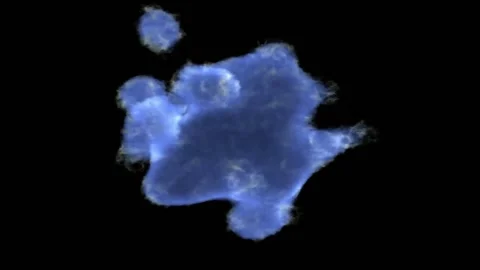 A close up of an animal 스톡 동영상 157858774