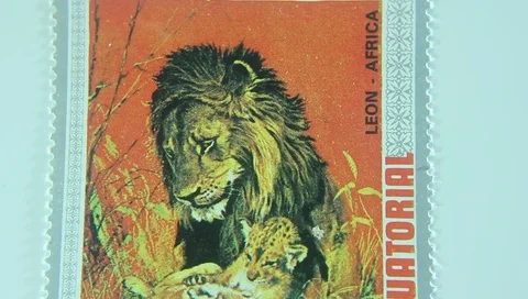 Close-up with animal postage stamps, watch brand collection Vídeo Stock 89005953