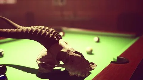 A close up of an animal skull on a pool table Stock Illustration