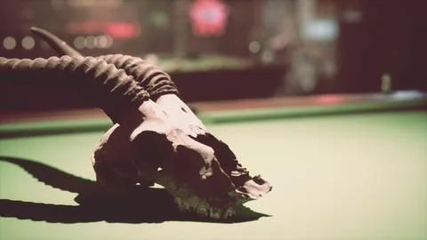 A close up of an animal skull on a pool table Stock Illustration