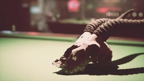 A close up of a animal skull on a pool table Stock Illustration
