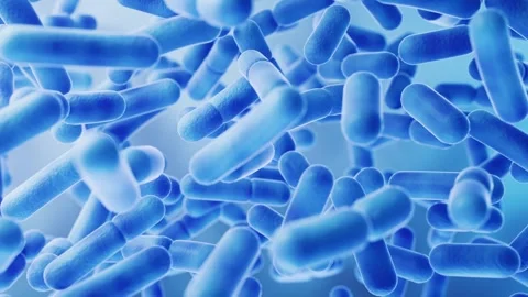 Close up animation of blue rod shaped bacteria cells moving in fluid Vidéo 327114432
