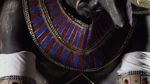 Close up of Anubis in ancient clothes with jackals head looking up Stock Footage 138003588