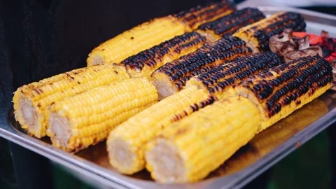 Close up of appetizing grilled sweet corn on the bbq grill. Stock Footage 111346297