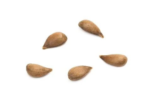 Close up of apple seeds Stock Photos