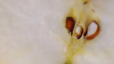 Close-up of an apple slice Stock Footage