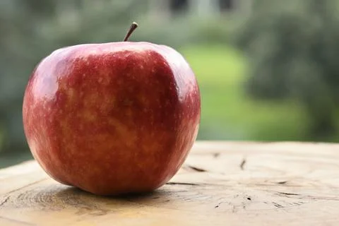Close up of apple type with red, white, yellow and pink pulp Stock Photos
