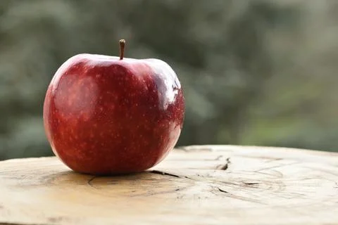 Close up of apple type with red, white, yellow and pink pulp Stock Photos