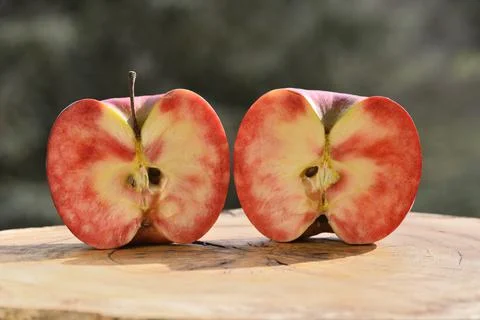 Close up of apple type with red, white, yellow and pink pulp Stock Photos