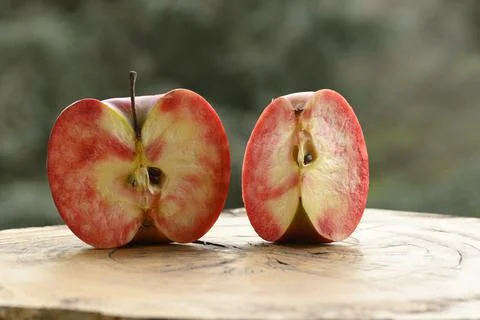 Close up of apple type with red, white, yellow and pink pulp Stock Photos