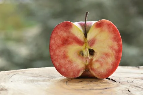 Close up of apple type with red, white, yellow and pink pulp Stock Photos