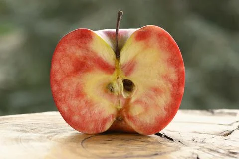 Close up of apple type with red, white, yellow and pink pulp Stock Photos