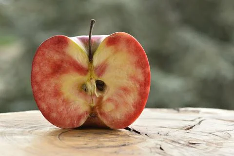 Close up of apple type with red, white, yellow and pink pulp Stock Photos