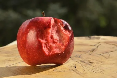 Close up of apple type with red, white, yellow and pink pulp Stock Photos