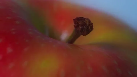 Close-up of a an apple on a white background Vídeo Stock 164997876