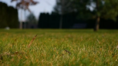 Close-up apples and oranges falling on green grass illuminated by sunlight Video stock 102516578